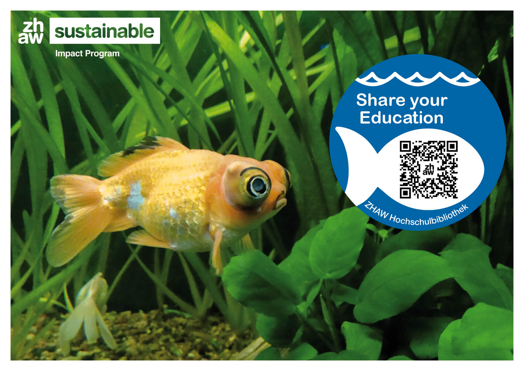 220217 Glupschaugenfisch (1)