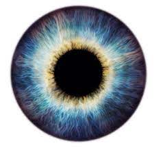 Scientifica_Auge